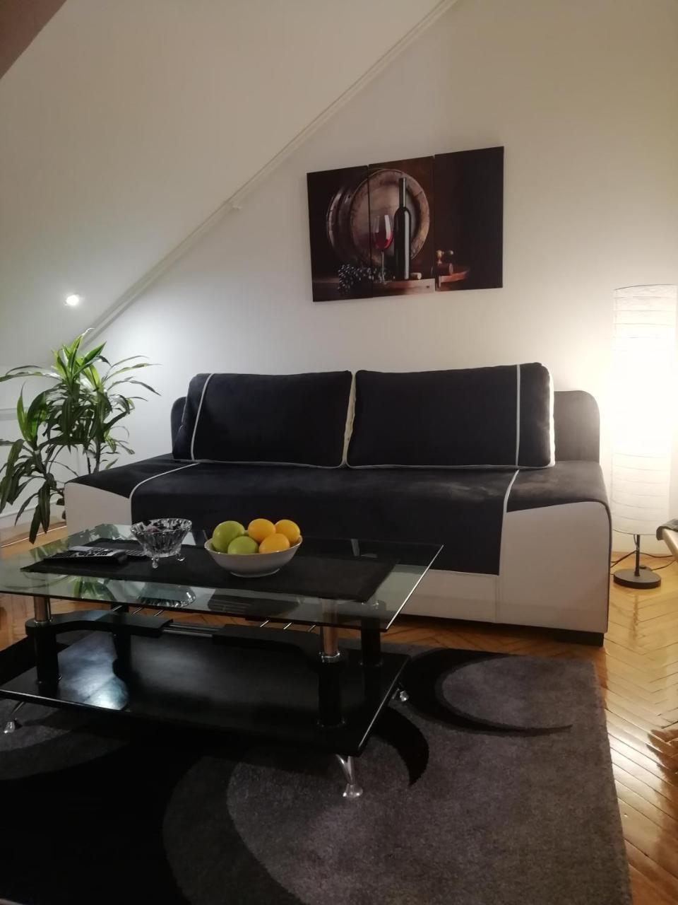 Two Kings Apartment Novi Sad Buitenkant foto