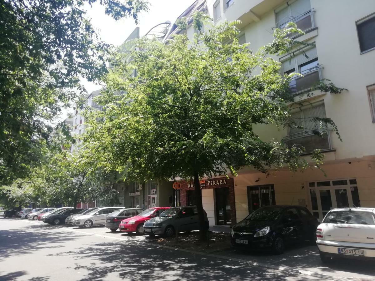 Two Kings Apartment Novi Sad Buitenkant foto